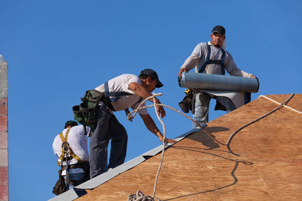 Best Flat Roof Repair Services  in Logan, IA