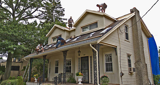 Professional Roofing Contractor in Logan, IA